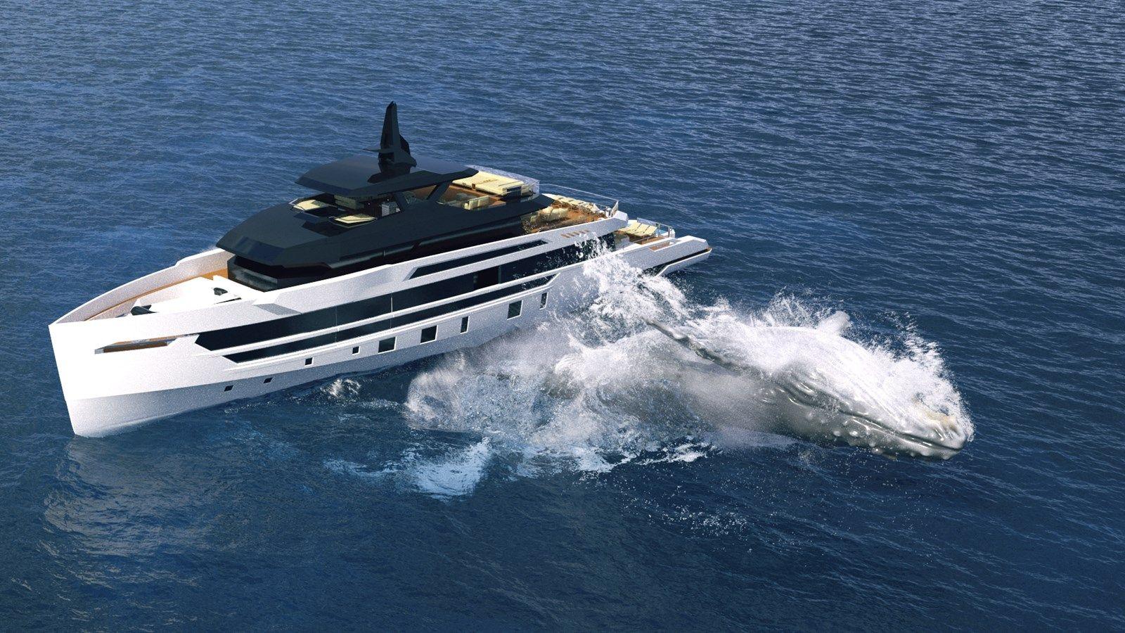 Tribale 165 Explorer 165 EXPLORER price