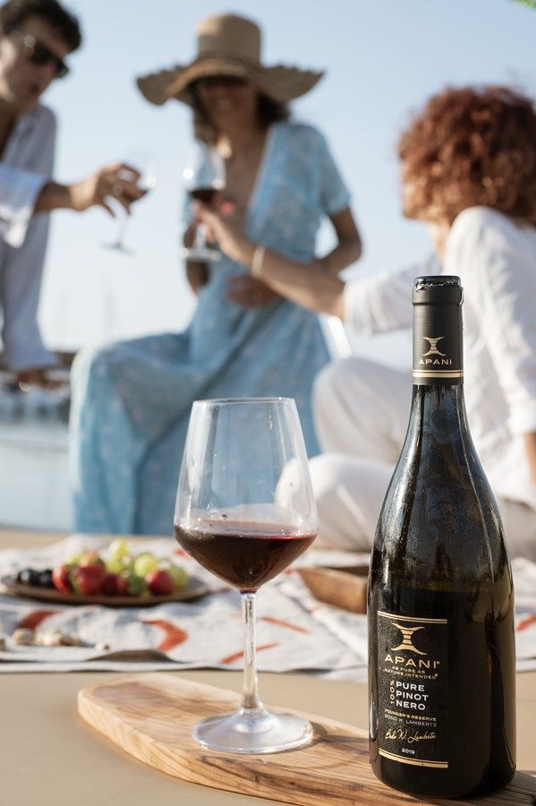 Buy a APANI 54 at Shestakov Yacht Sales