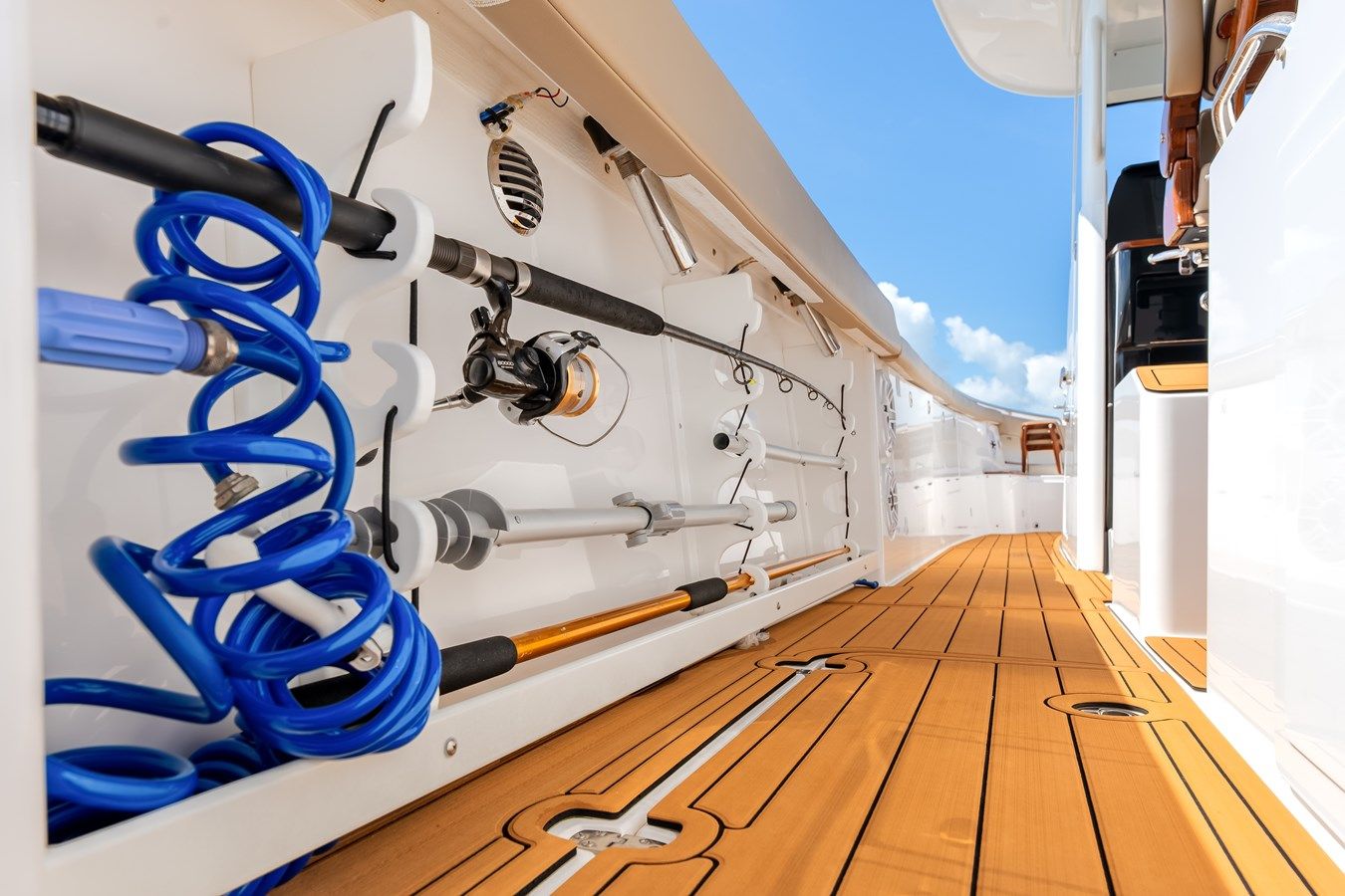 Shine V - Everglades