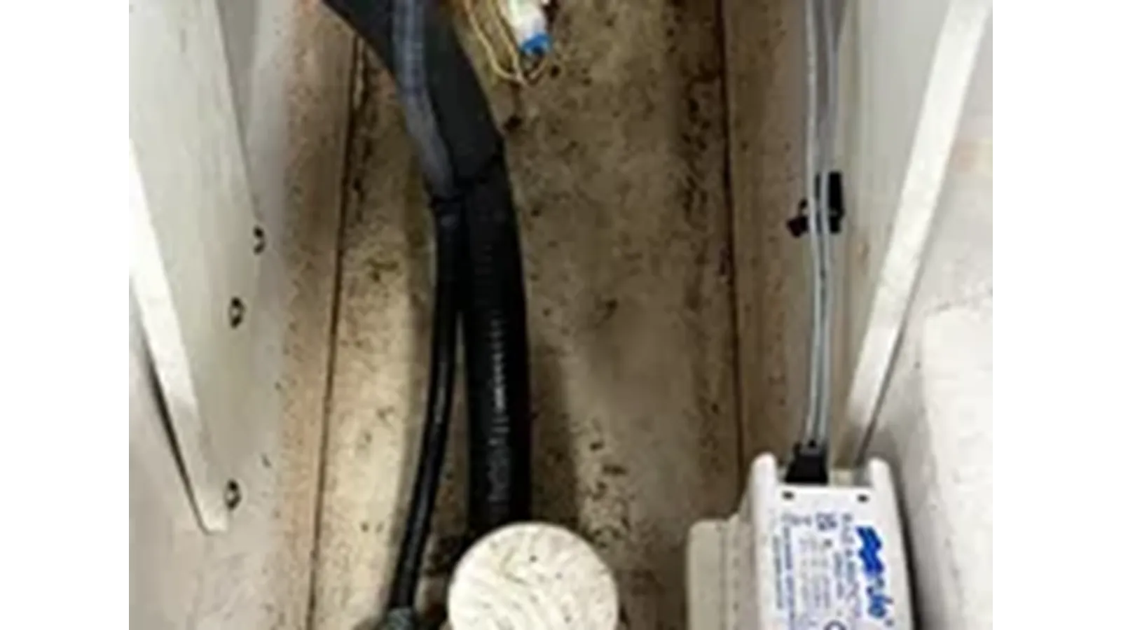 large_4323062.webp