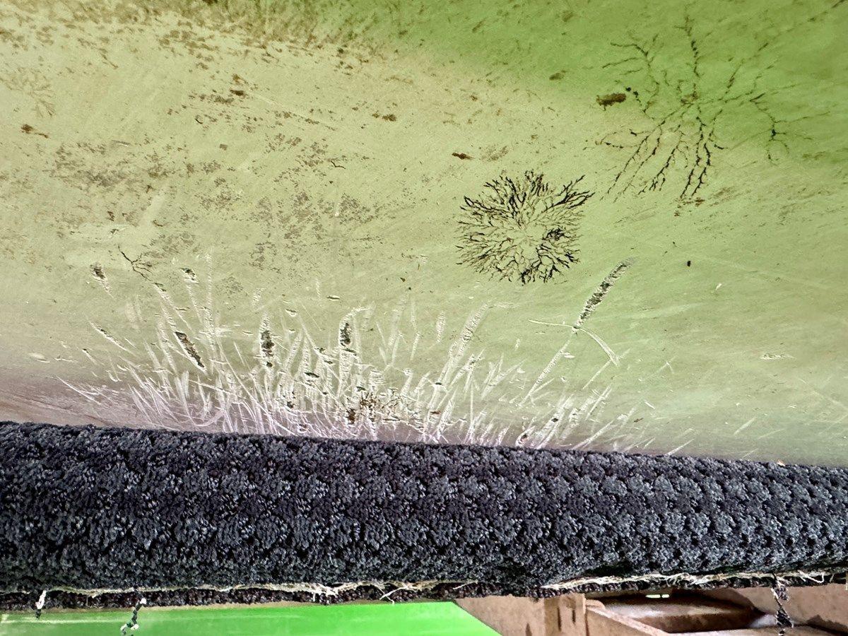 Стоимость яхты 019 Hurricane SunDeck SS201 NLFH