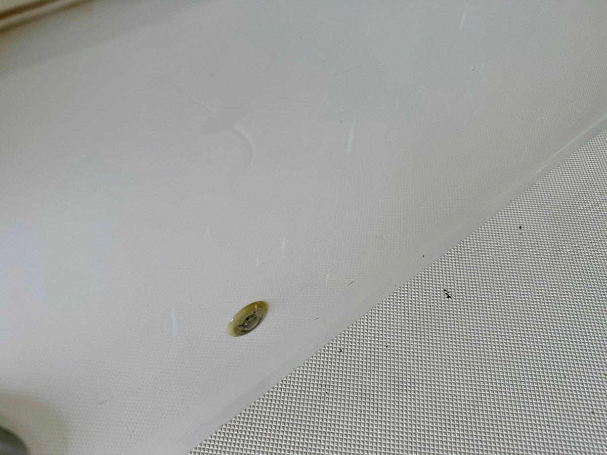 Продажа яхты 019 Hurricane SunDeck SS201 NLFH 20