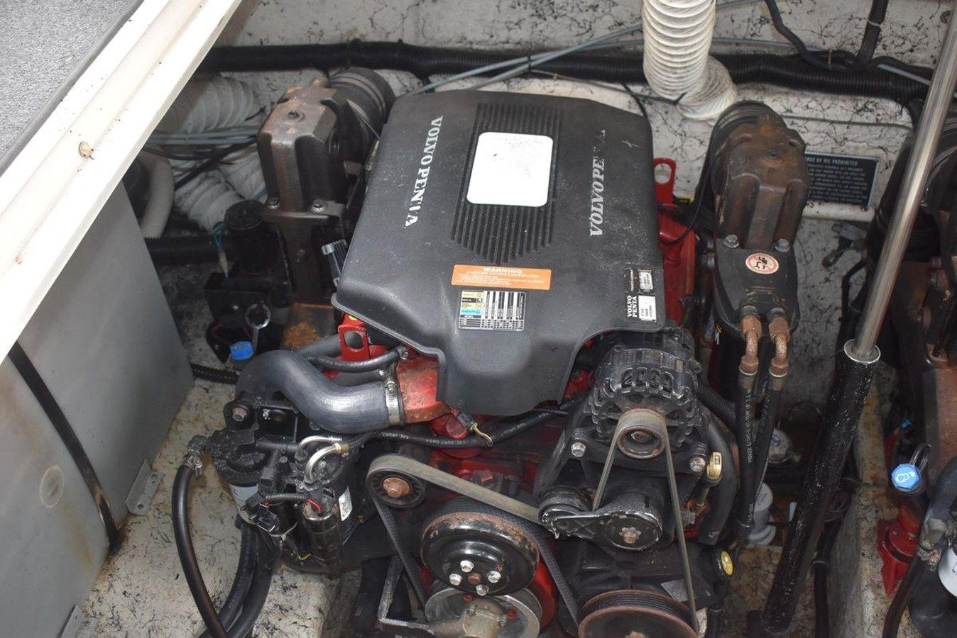 the best price on Polly Wog - RINKER