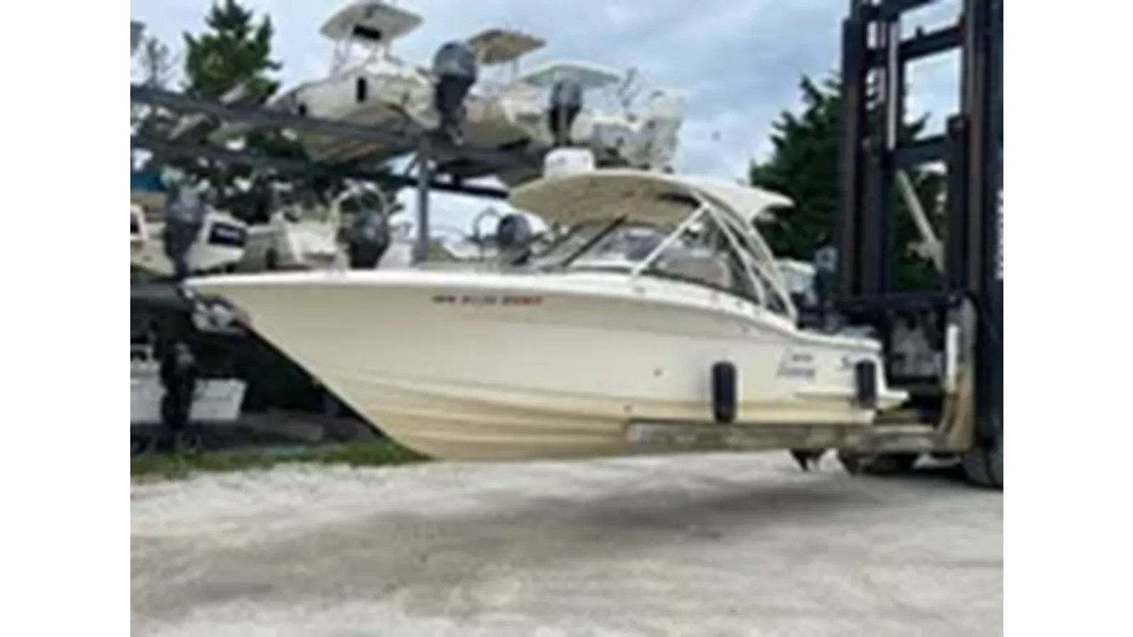 2019 Scout 255 Dorado 25