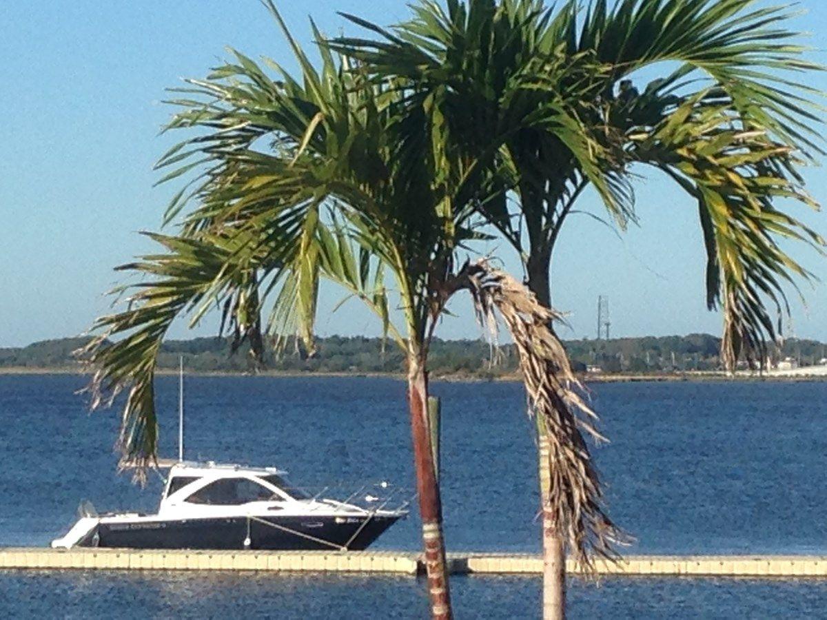 Salty Hammock - CUTWATER