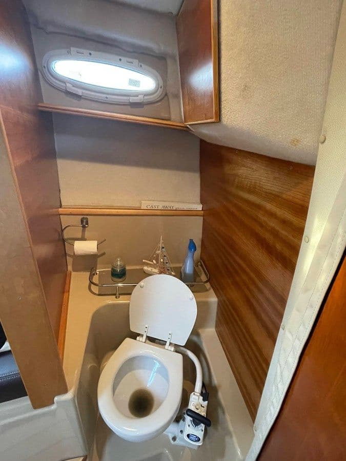 Лучшая цена на Salty Hammock 2016