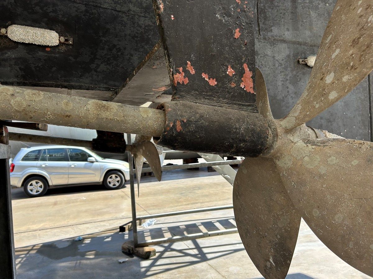 Лучшая цена на IRIS 1992