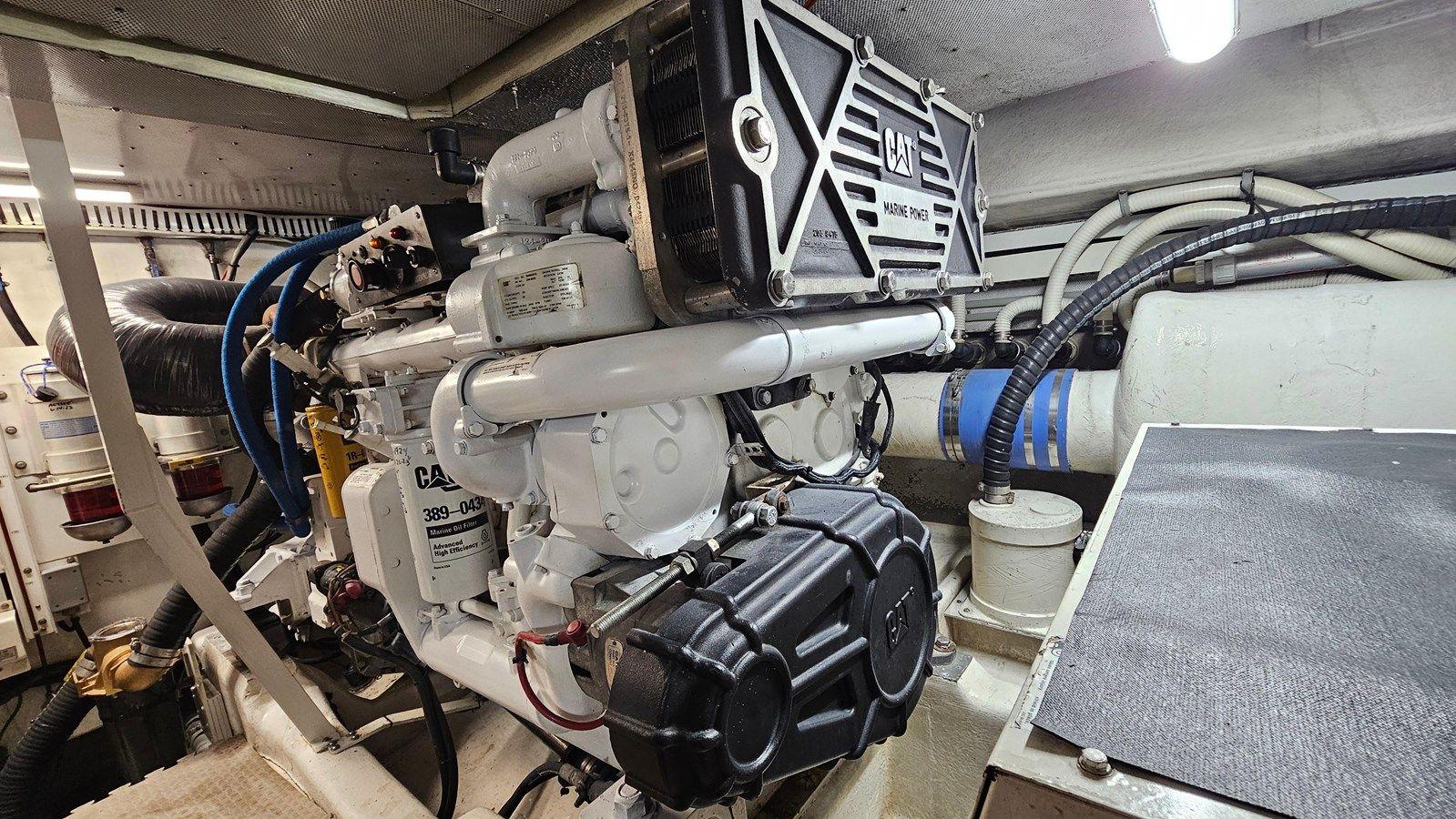 Dream Team XIII - NEPTUNUS