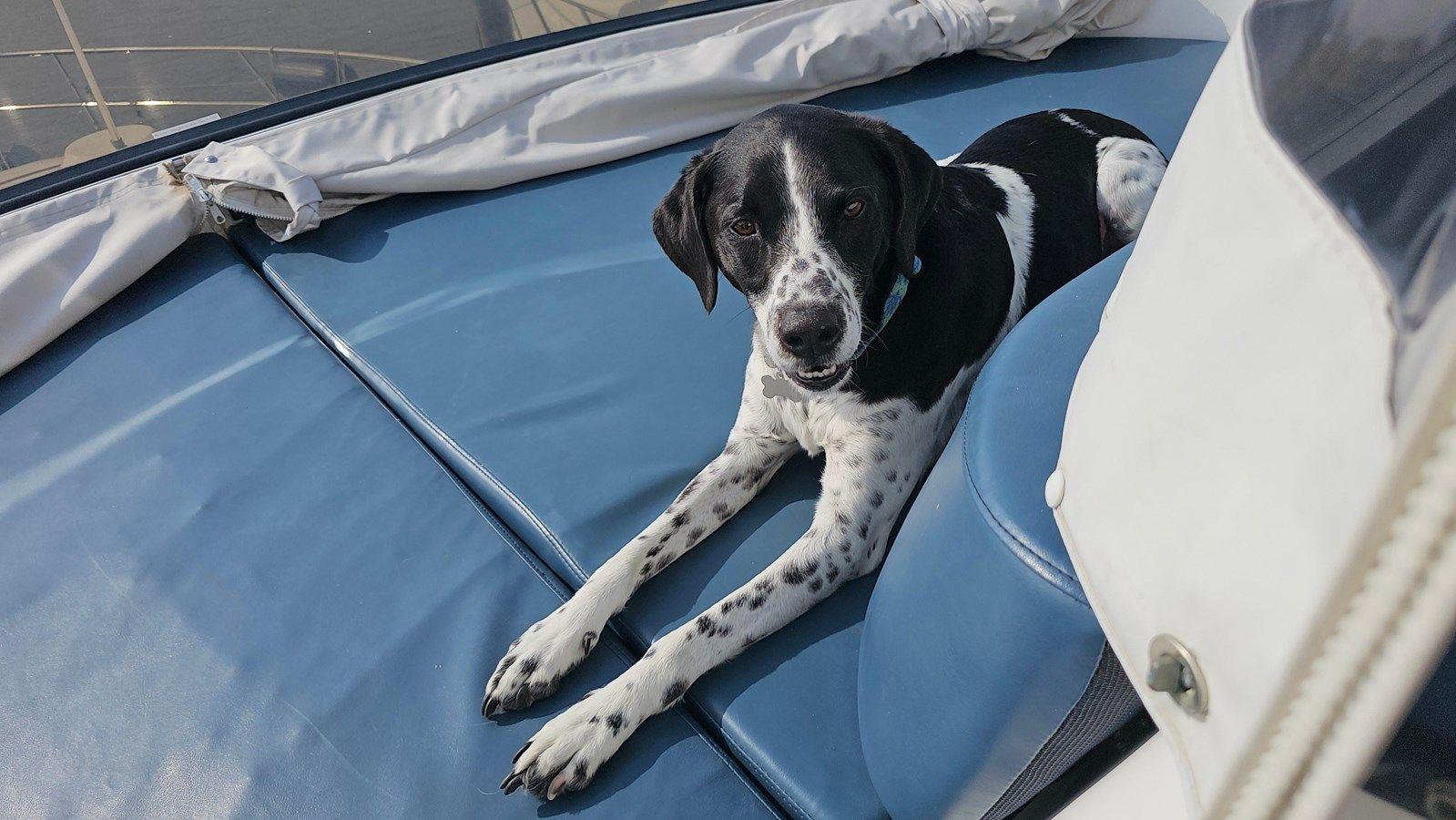 the best price on Dream Team XIII 56