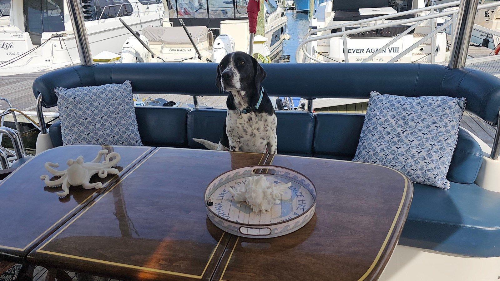 Dream Team XIII 56 Flybridge yacht sale