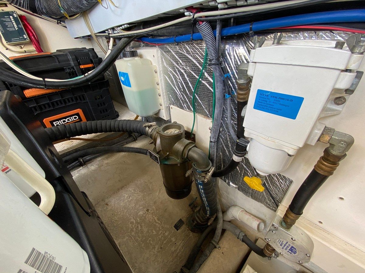 Tropical High 2006 price