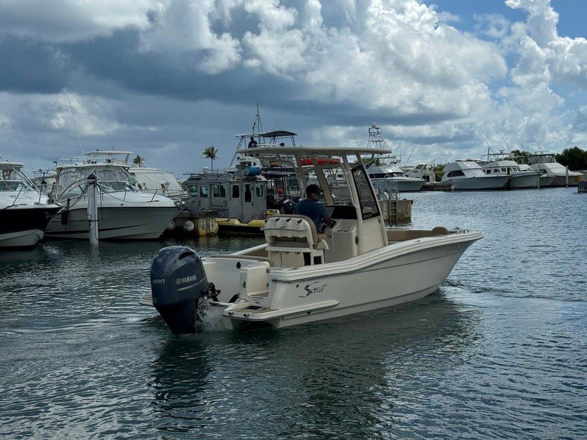 Buy a yacht Scout 215 215 XSF