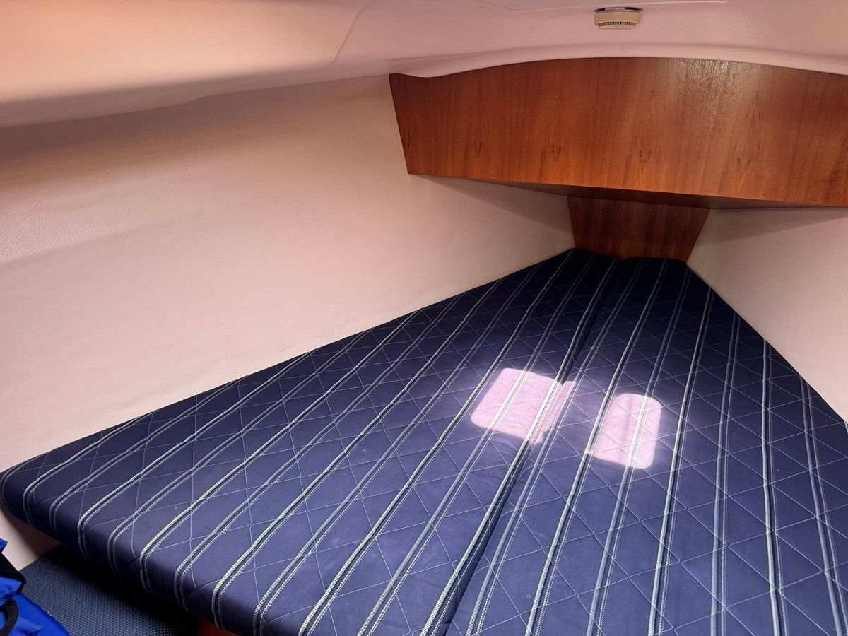 DREAM RETRIEVER - HUNTER price