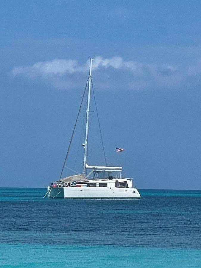 Лучшие предложения покупки яхты Stray Cats - Lagoon