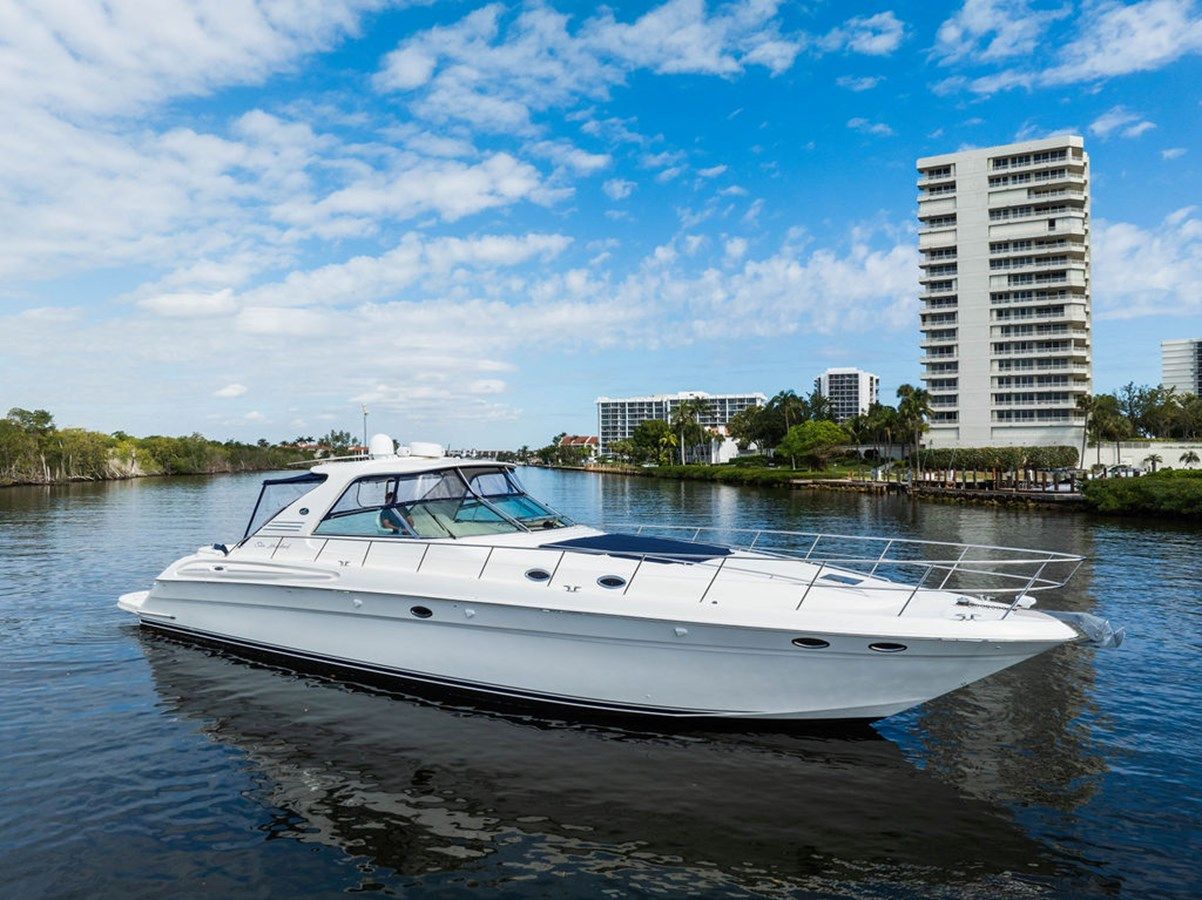 Endless Summer 2005 price