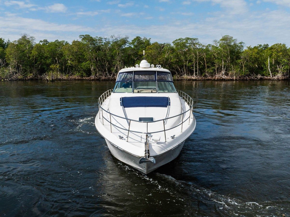 Endless Summer 60 price