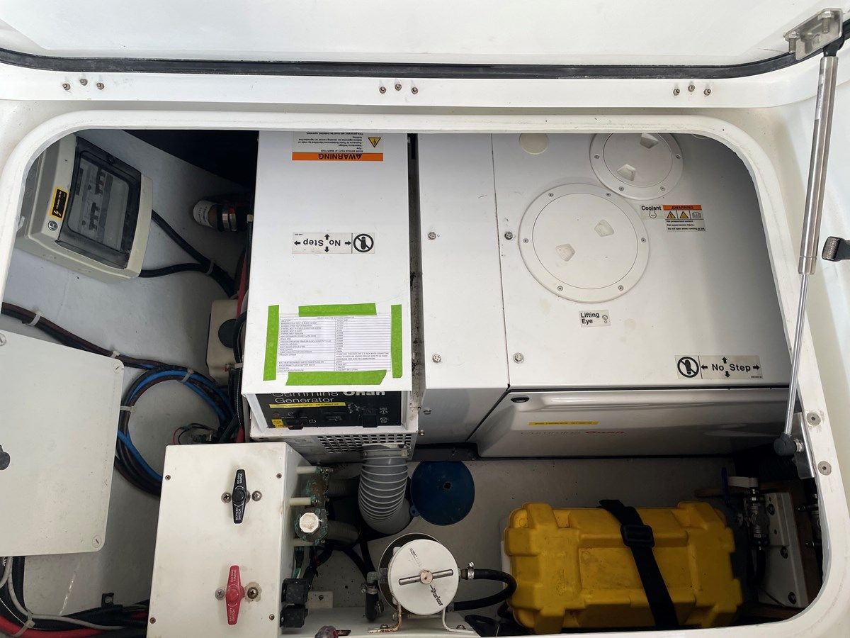 Купить Stray Cats 45