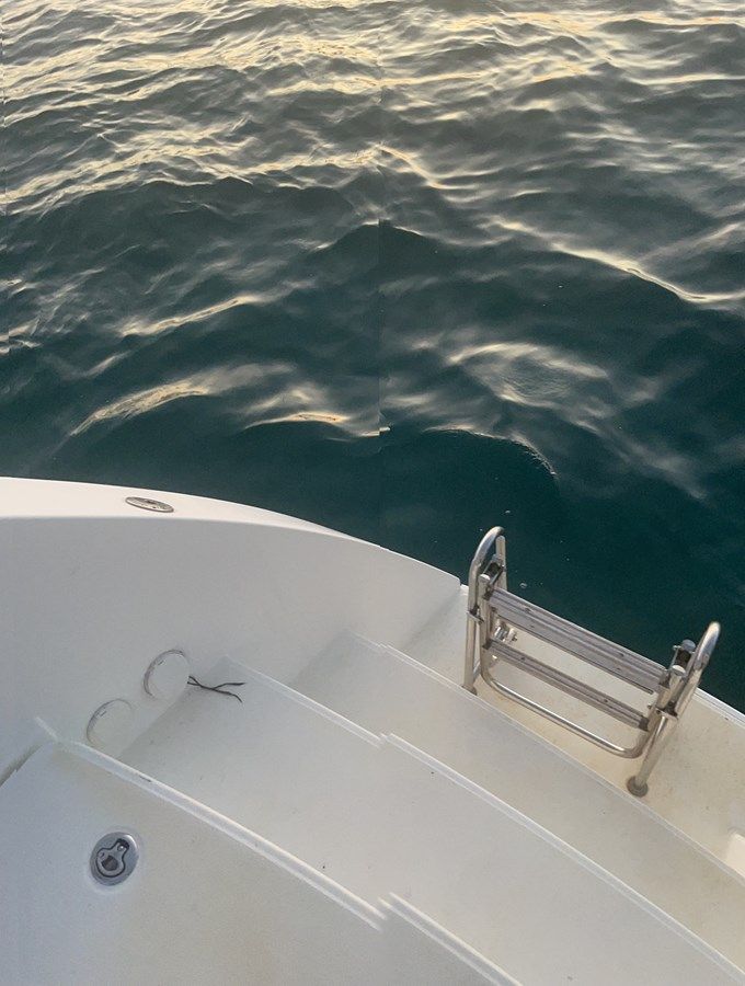 Лучшие предложения покупки яхты Stray Cats 45