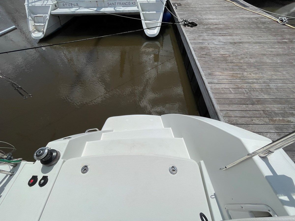 Купить Stray Cats