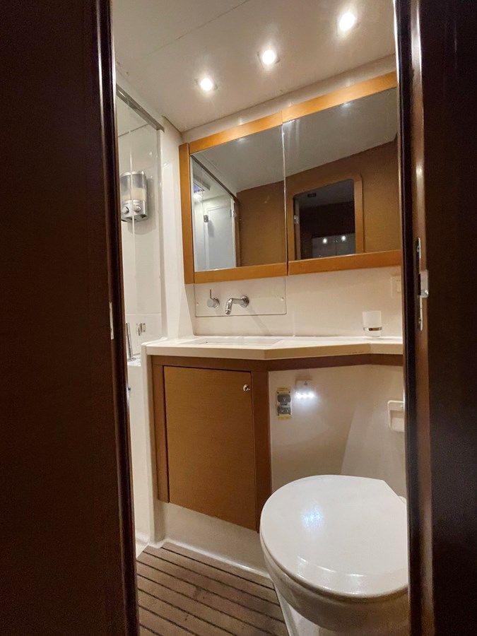 Купить Stray Cats 2015