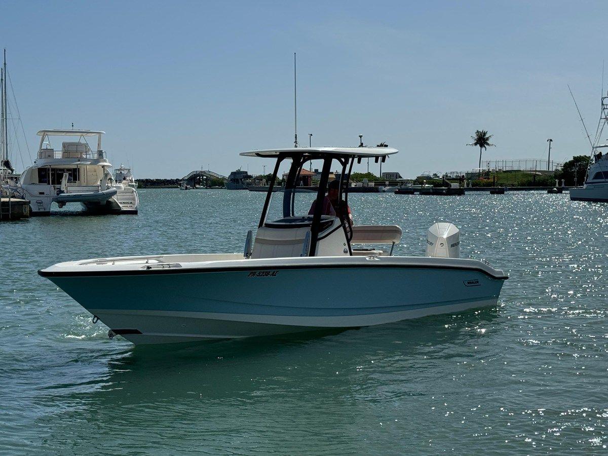 250 Dauntless - Boston Whaler yacht sale