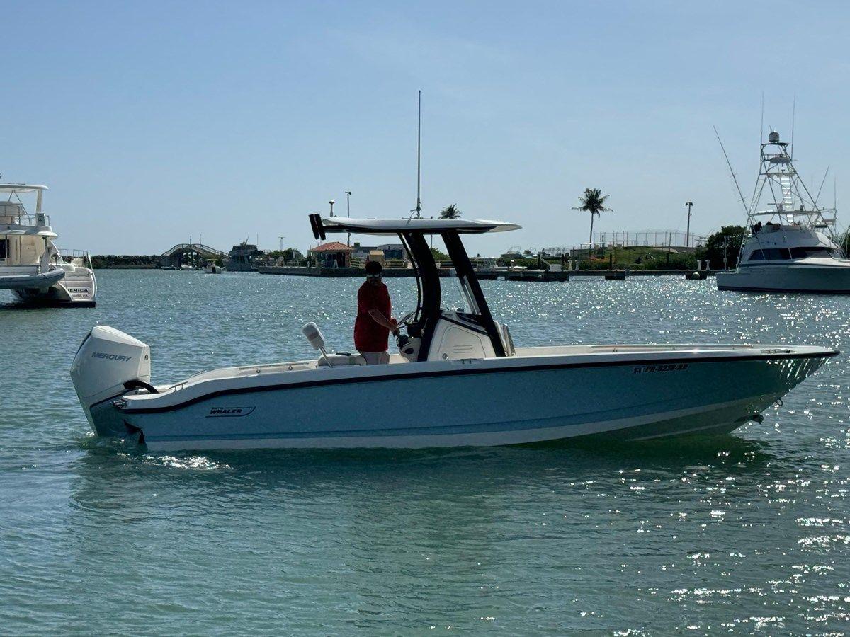 250 Dauntless - Boston Whaler price