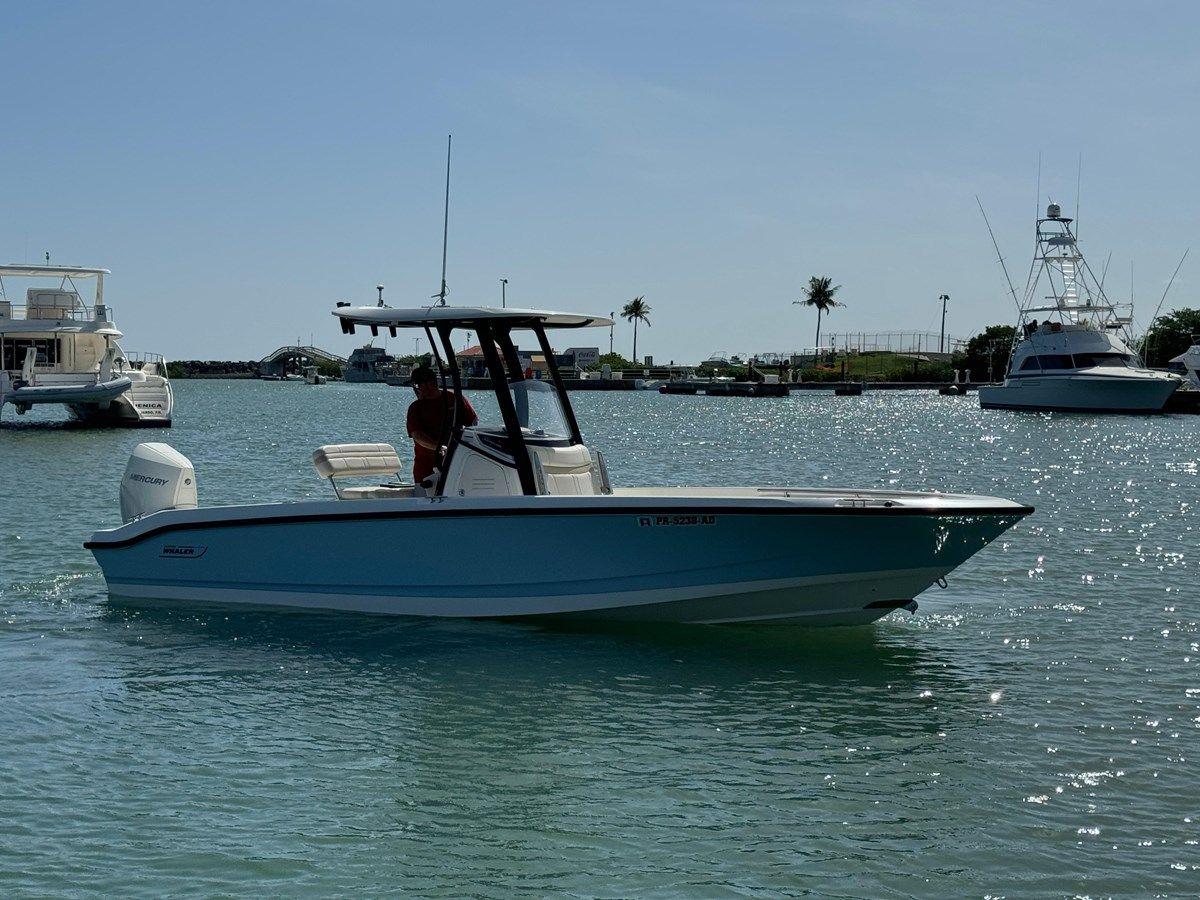 best yacht sales deals 250 Dauntless - Boston Whaler