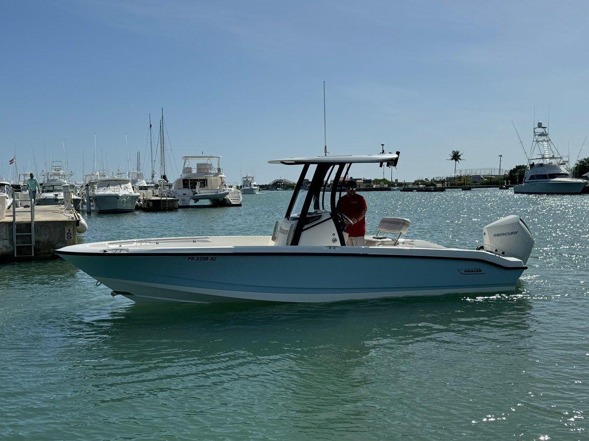 Buy a yacht 250 Dauntless - Boston Whaler