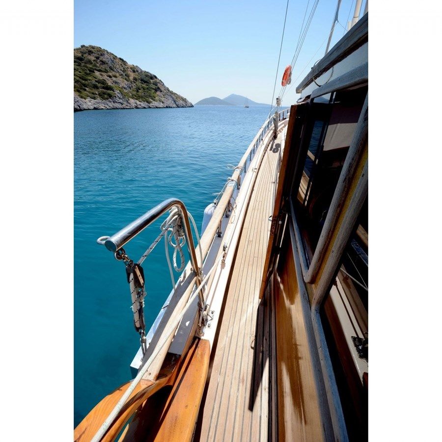 the best price on NEMESIS - CUSTOM MADE