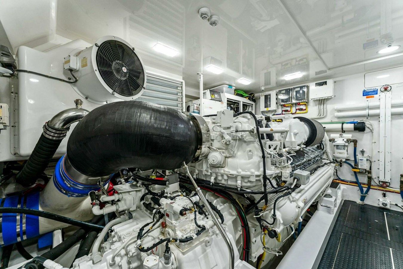 Aussie Rules - VIKING