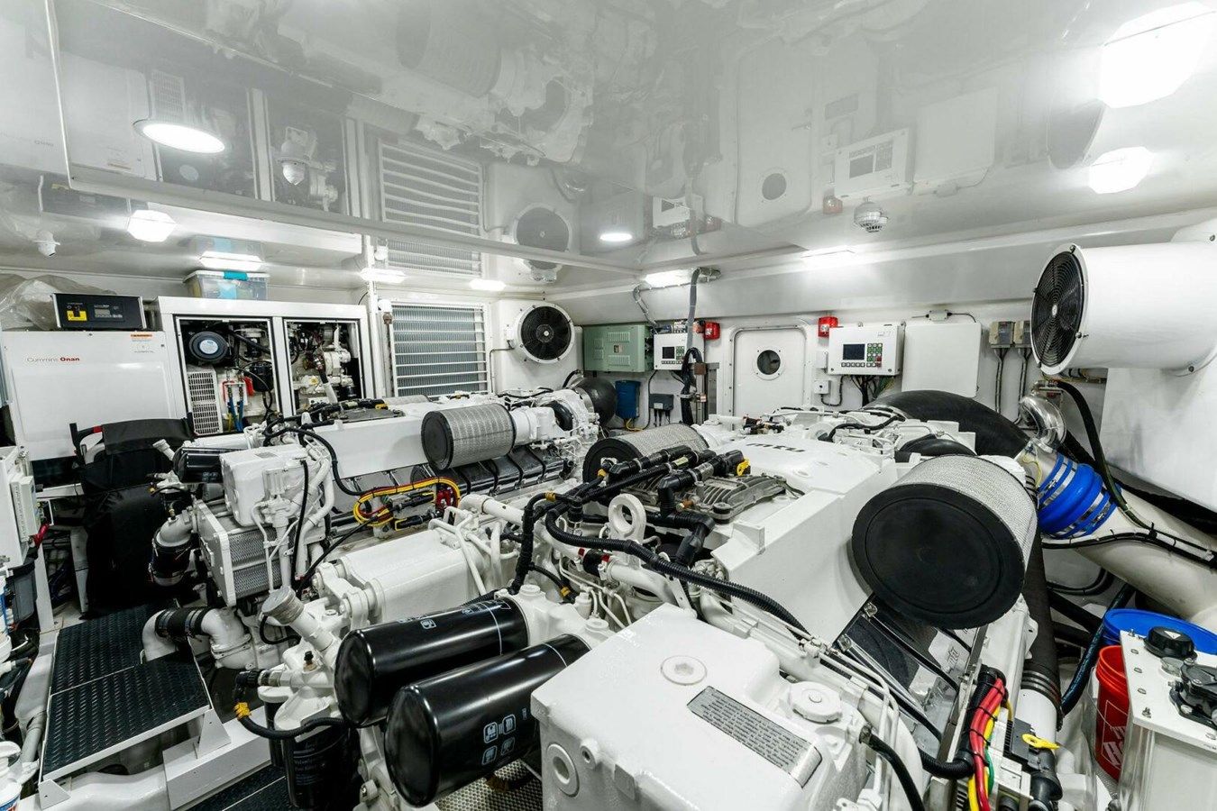 Лучшая цена на Aussie Rules - VIKING