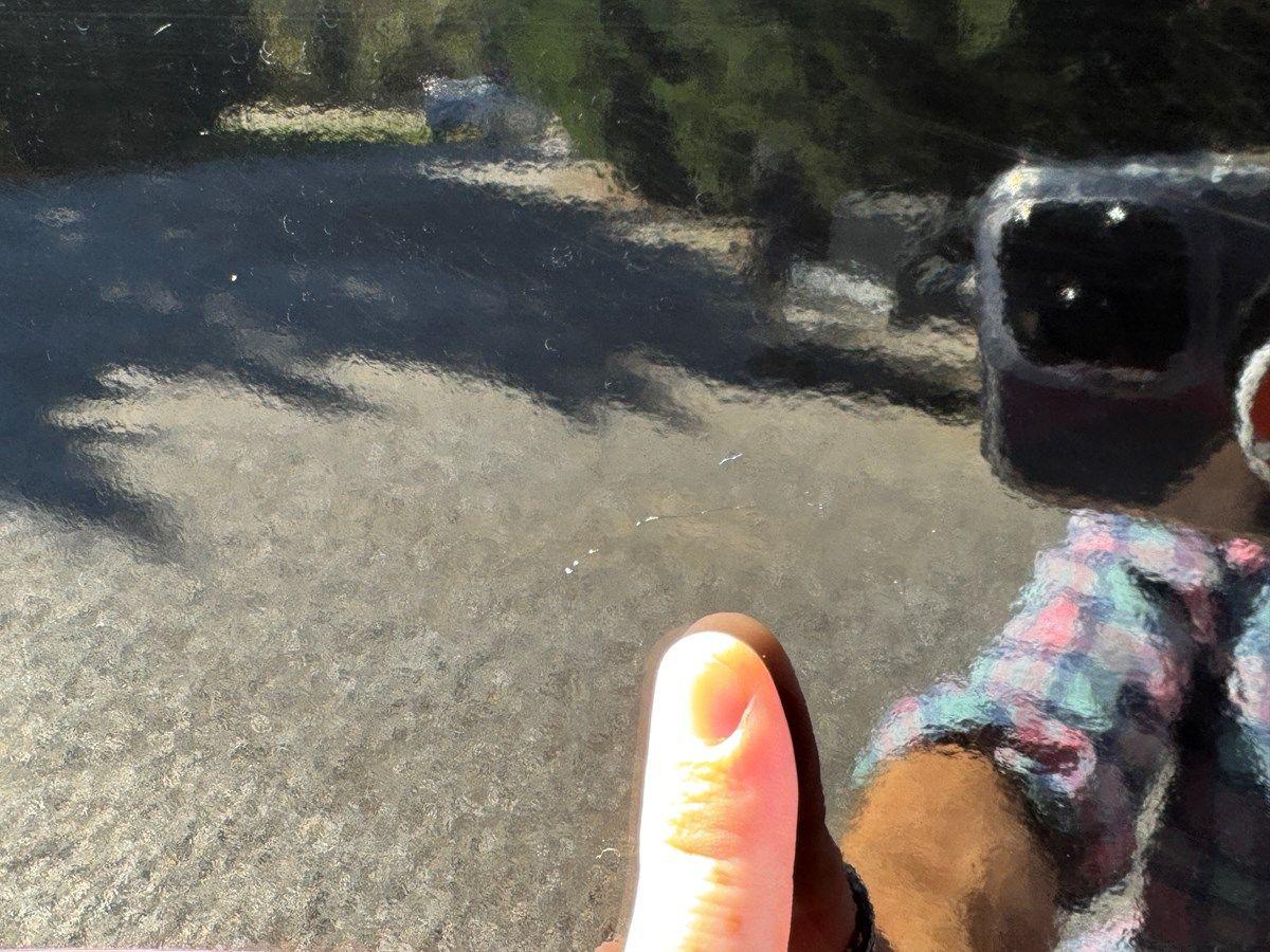 Buy a 2019 Monterey 278 SS KNX - MONTEREY at Shestakov Yacht Sales