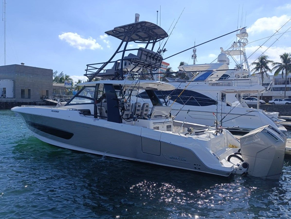 Buy a Bravia 2024 at Shestakov Yacht Sales