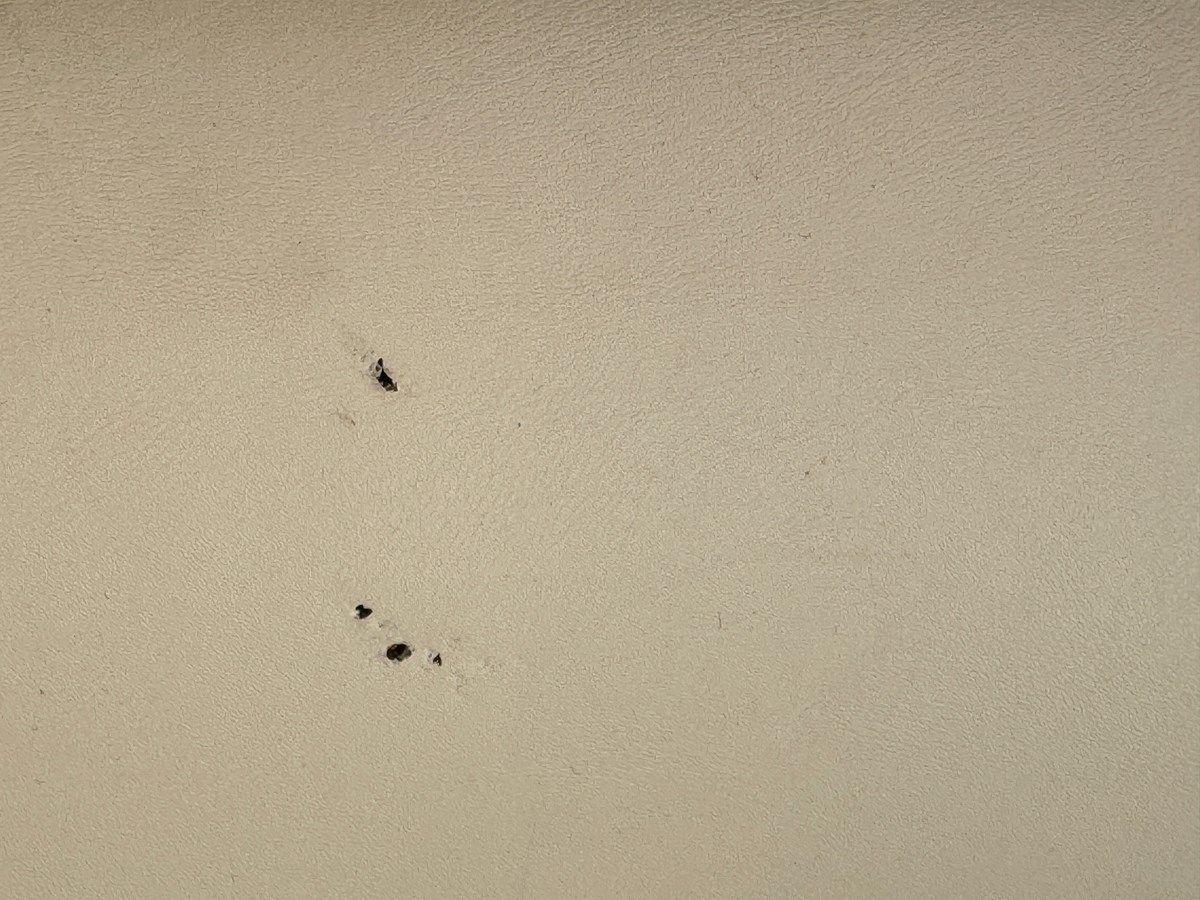 Купить яхту 08 Manitou Legacy 24 Tritoon NLDF 2008 в Shestakov Yacht Sales