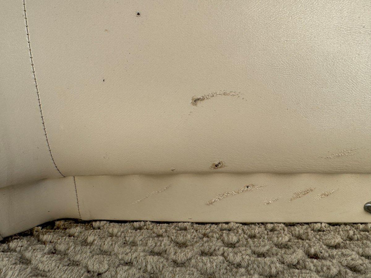 Лучшая цена на 08 Manitou Legacy 24 Tritoon NLDF - MANITOU