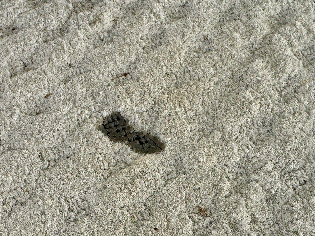 08 Manitou Legacy 24 Tritoon NLDF Legacy 24 Tritoon