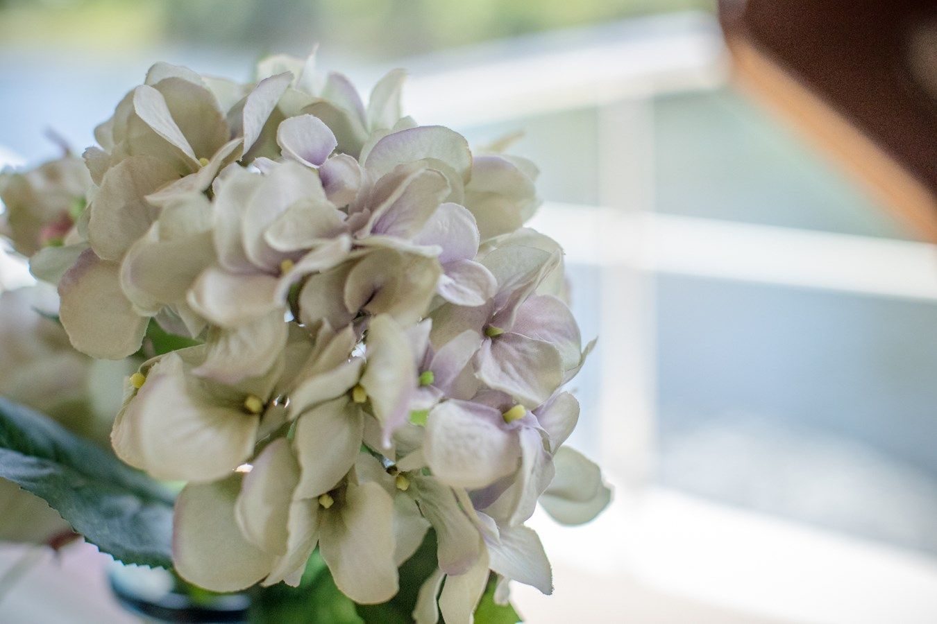 DRAKKAR - Azimut Yachts price