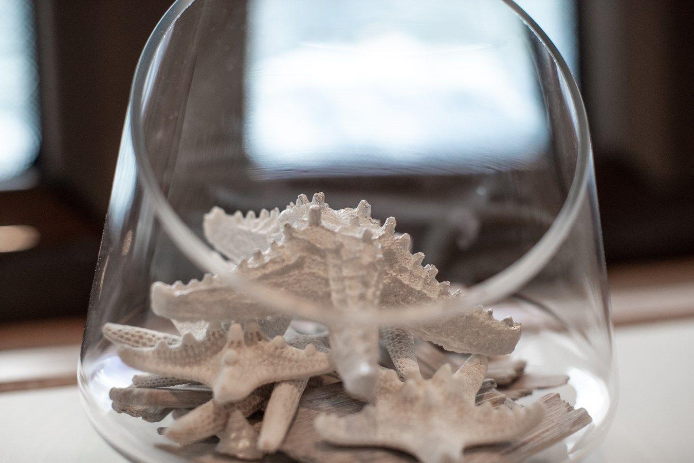 Buy a yacht DRAKKAR Evolution