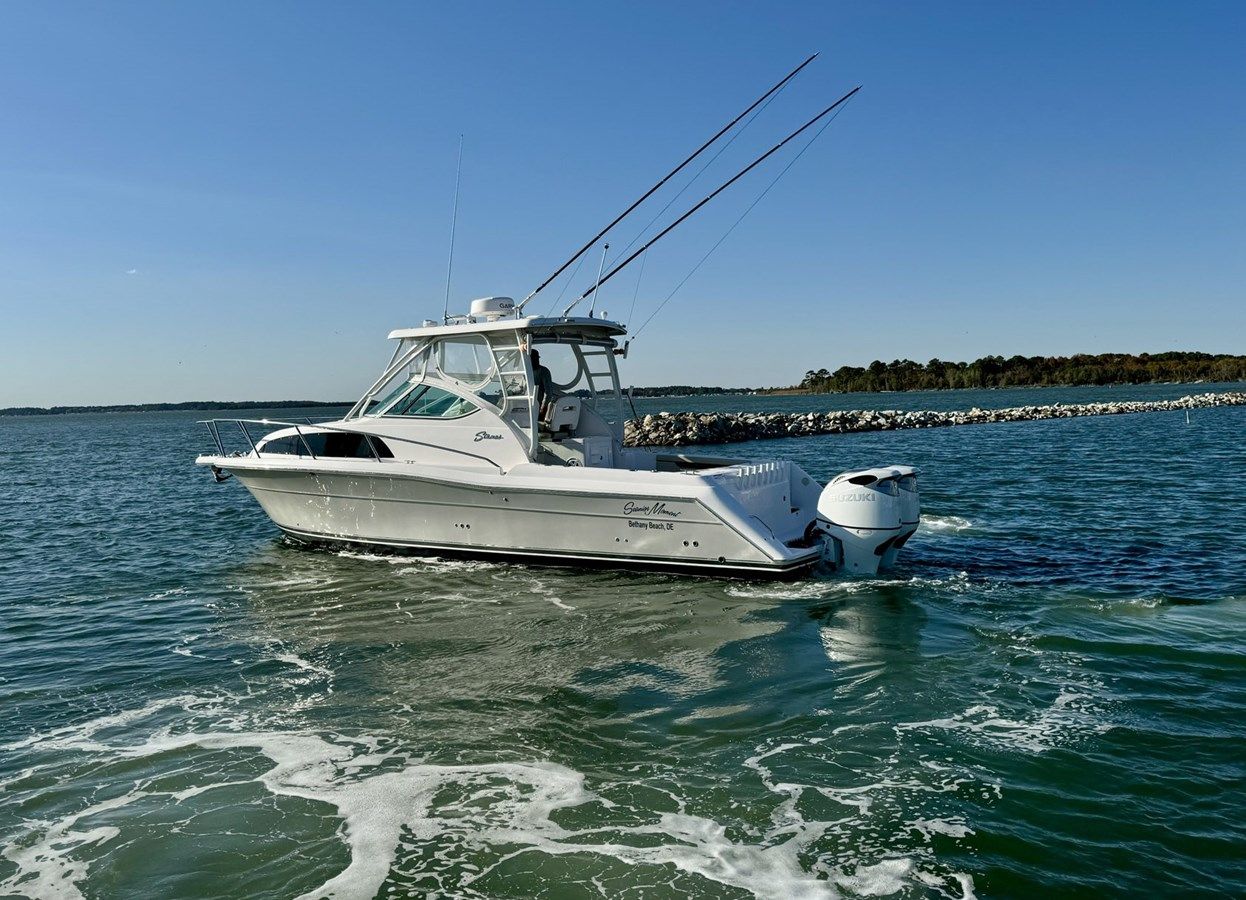 Seanior Moment 39 price