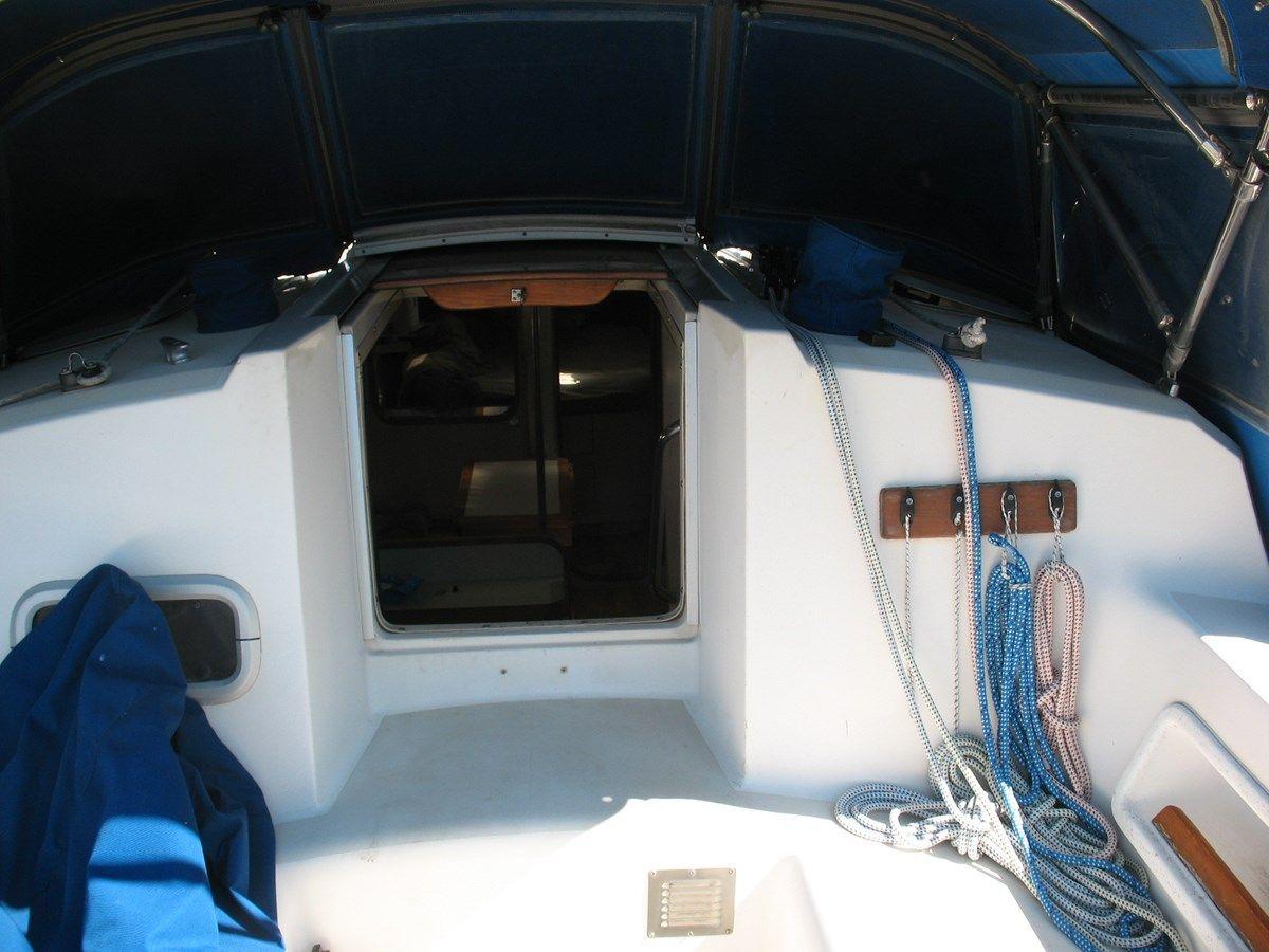 Купить Linda Rose - PEARSON