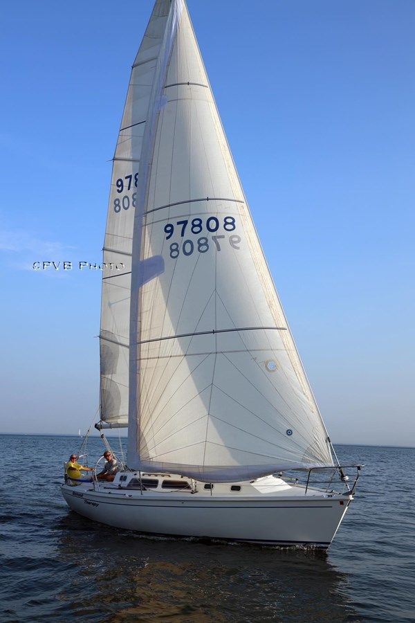 Buy a yacht Schock Therapy 34 PC