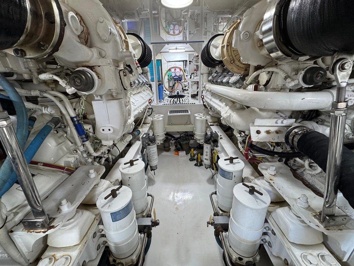 Daniela - VIKING price