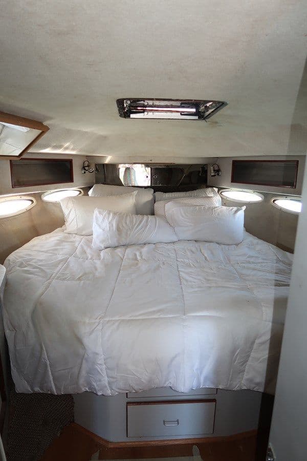 Sea Ray 390 Express Cruiser - SEA RAY