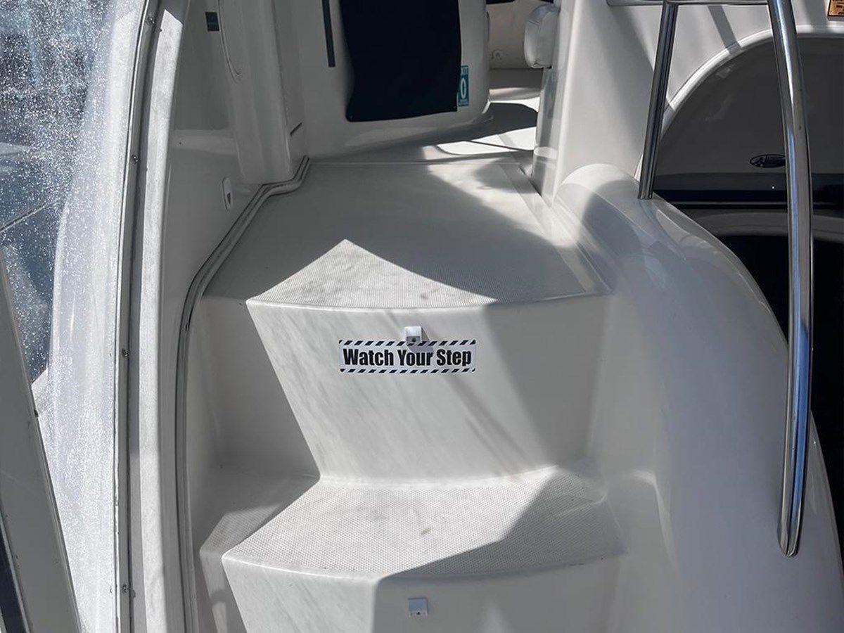 Купить ELEGANT LADY 2004