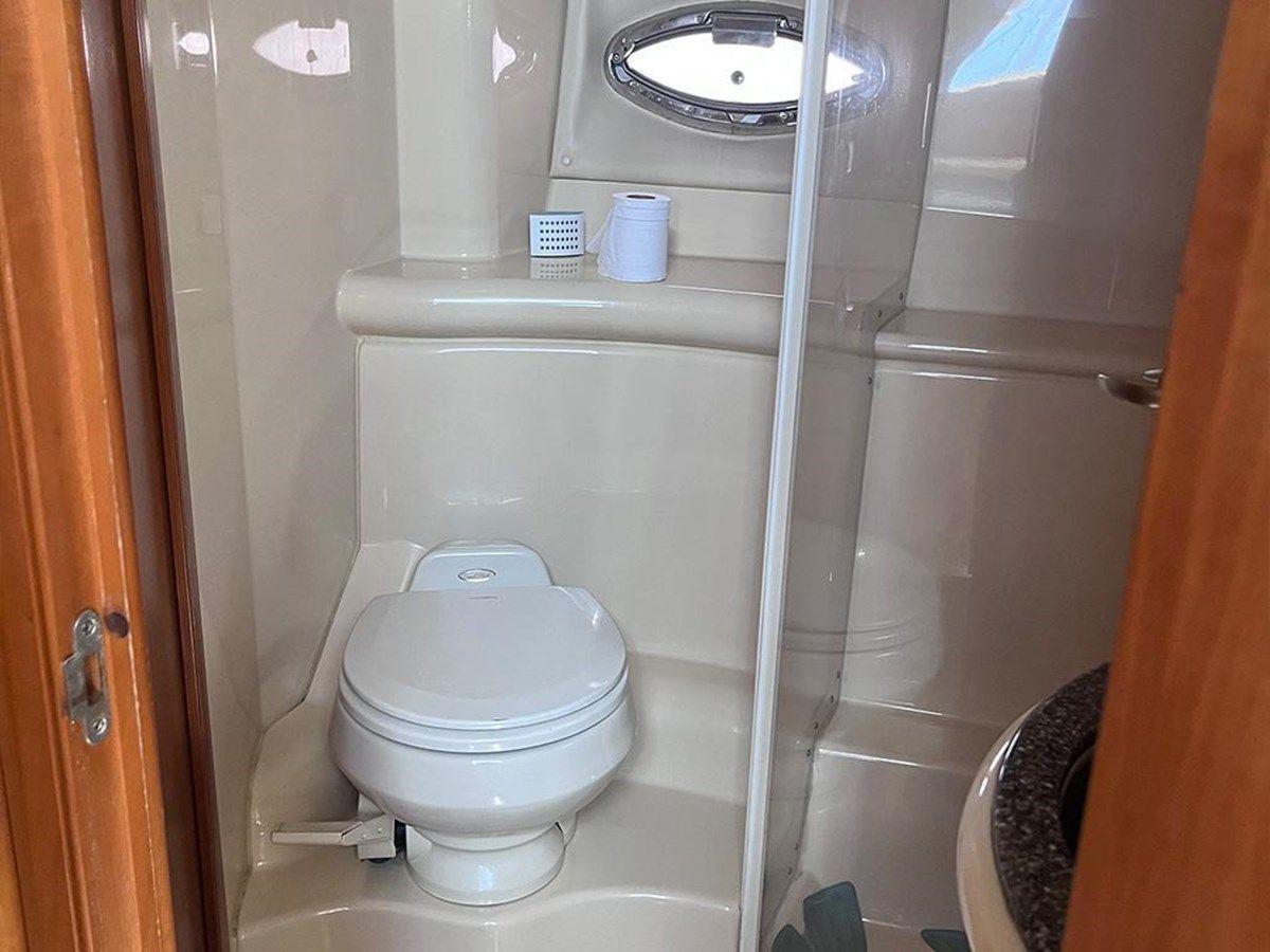 Купить ELEGANT LADY 459 Motoryacht