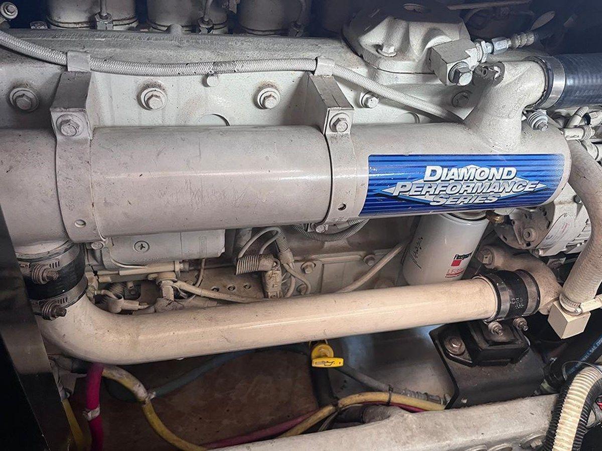 ELEGANT LADY - Meridian