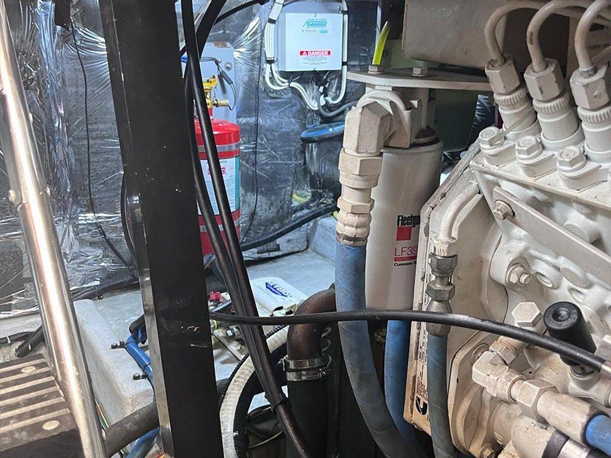 Лучшая цена на ELEGANT LADY 45