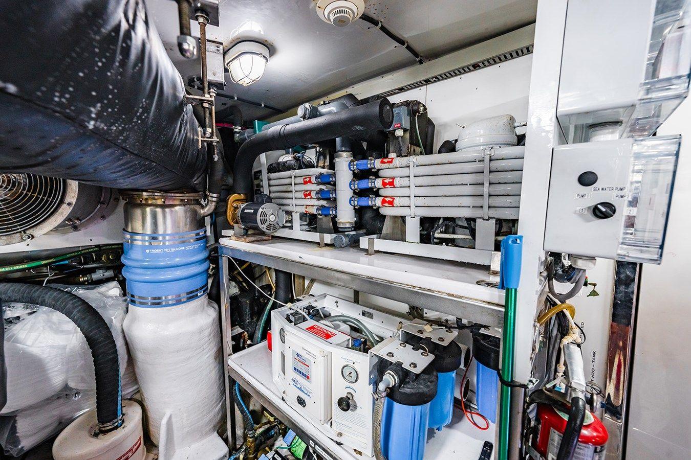 Купить SOUTHERN BELLE