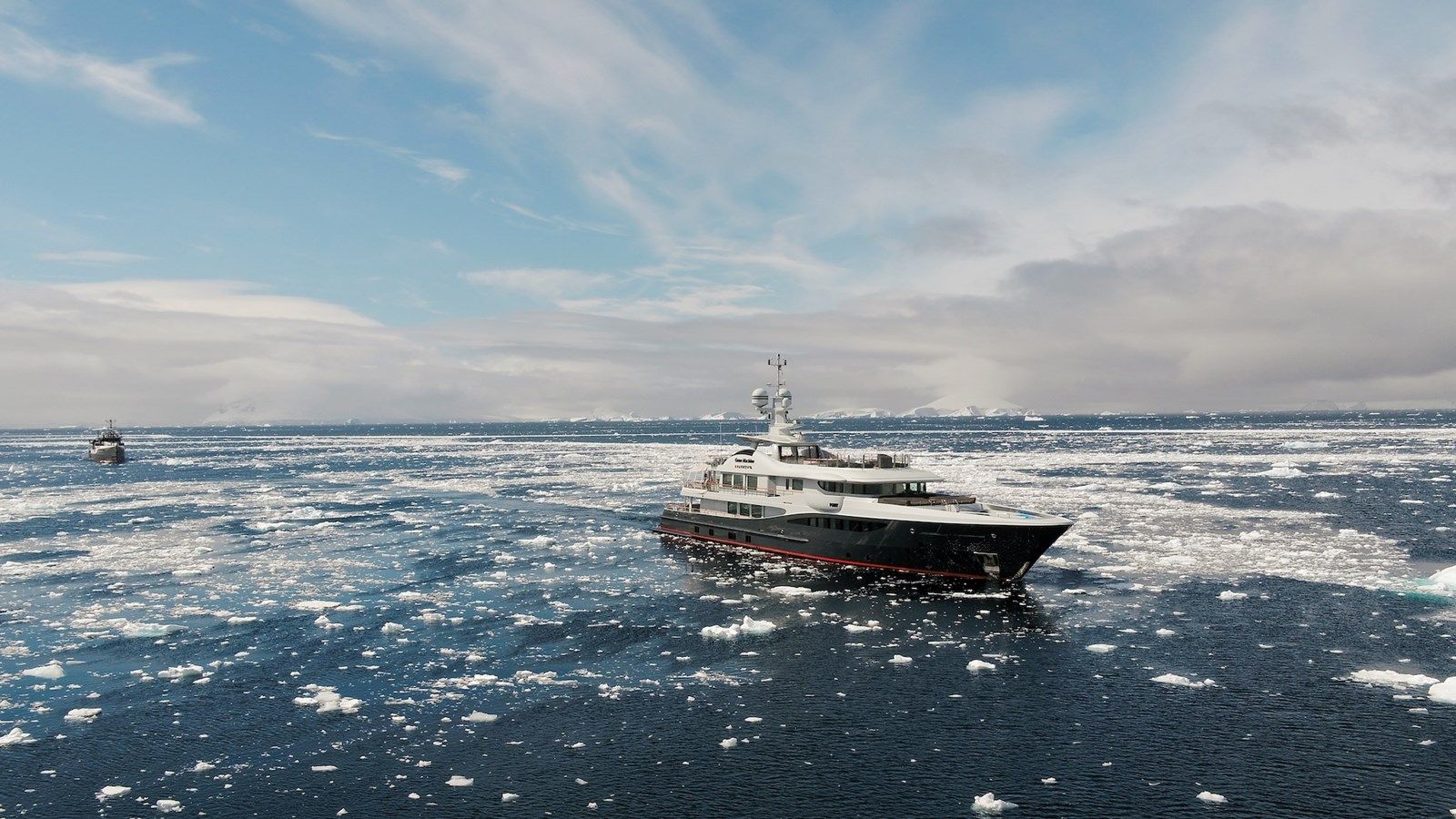 GENE MACHINE - Amels