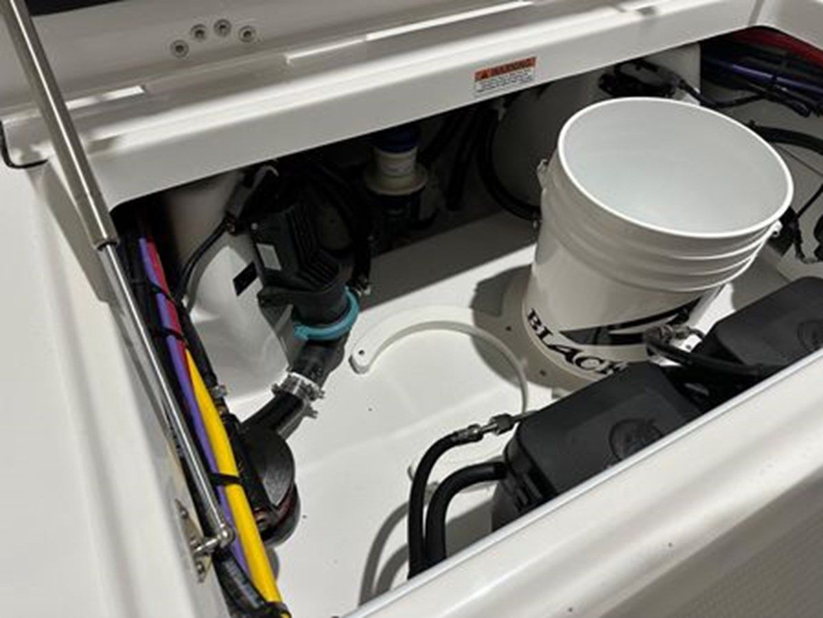 2024 Blackfin 302CC 2024